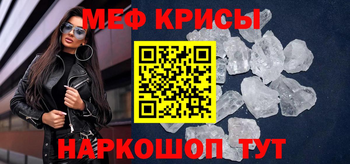 МЕФ  Новозыбков